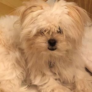 Meet your Posher, Kelly